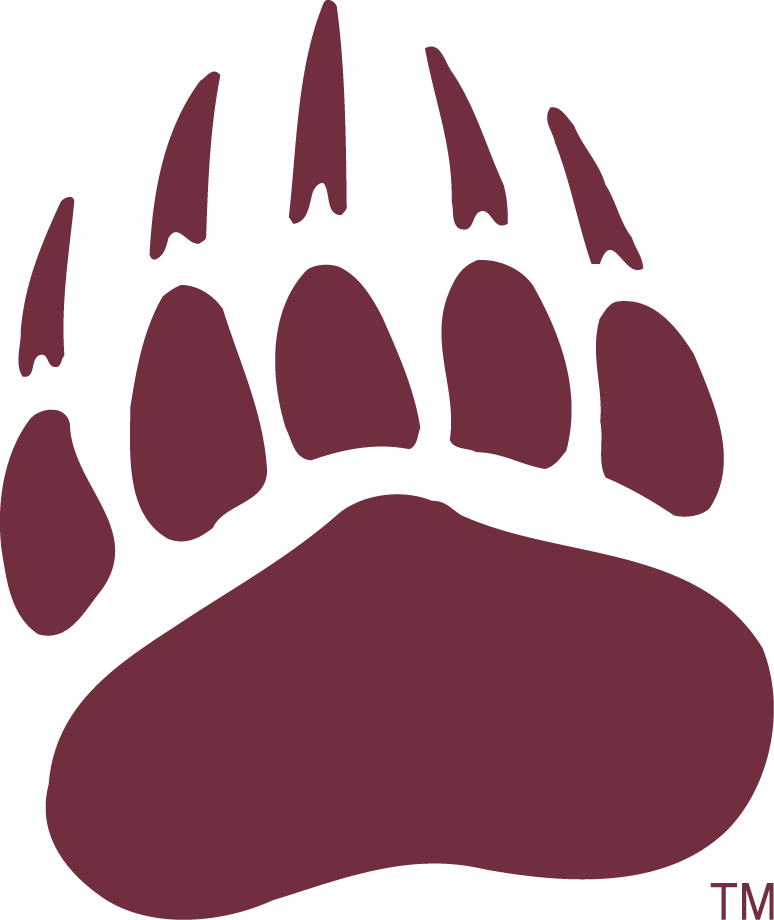Montana Grizzlies 1996-Pres Secondary Logo v2 diy iron on heat transfer